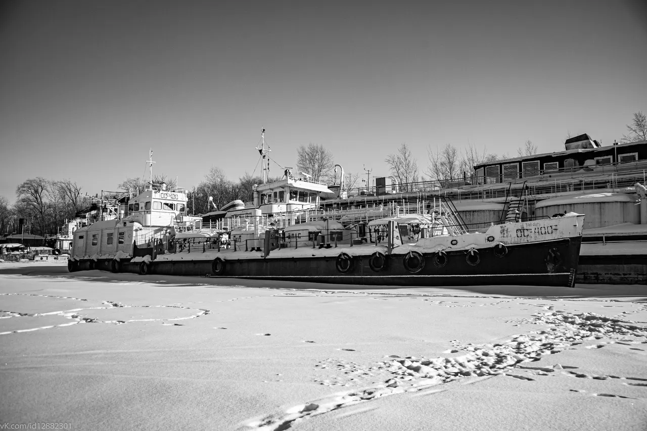 IMG_2509.jpg