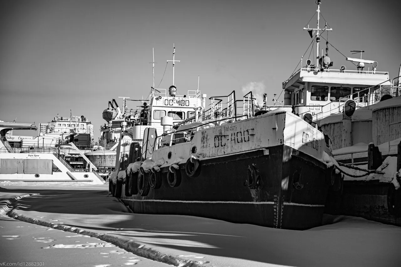 IMG_2501.jpg