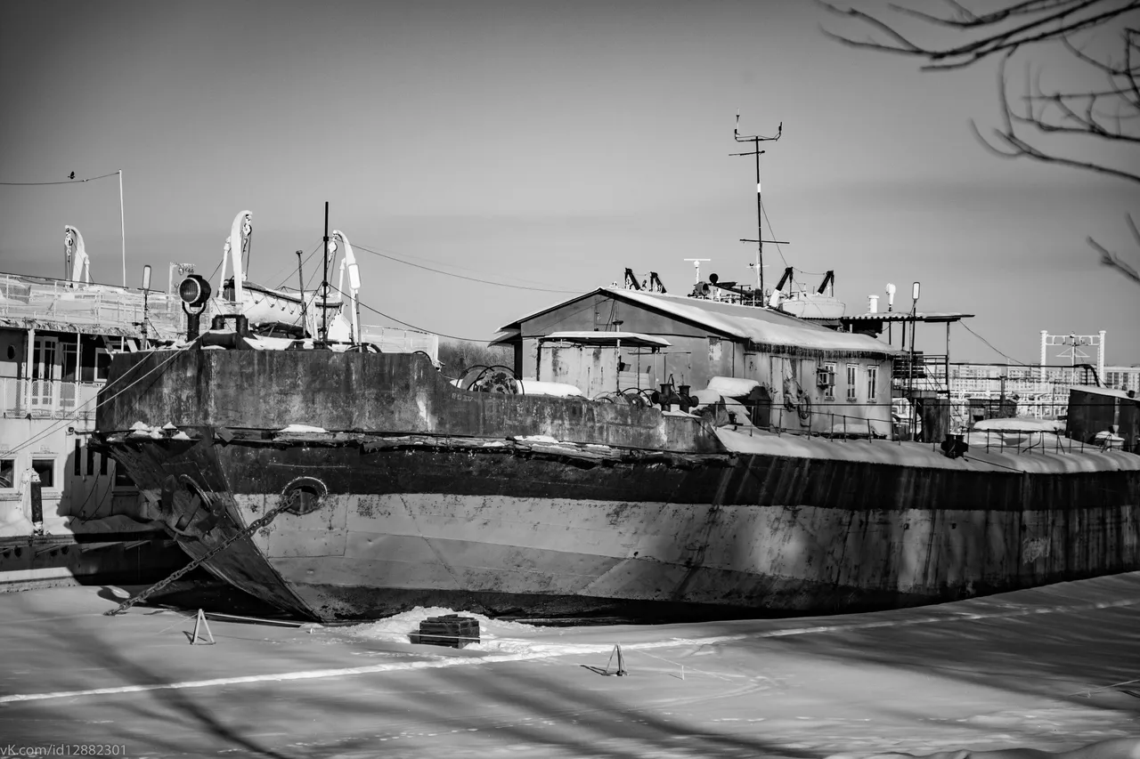 IMG_2488.jpg