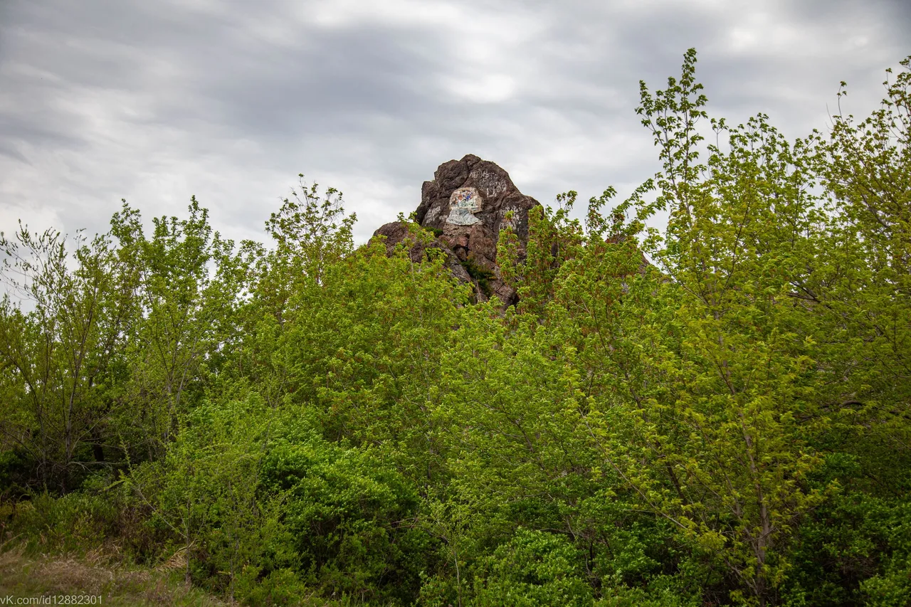 IMG_0686.jpg