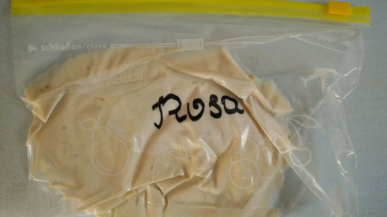 Sauerteig Rosa.jpg