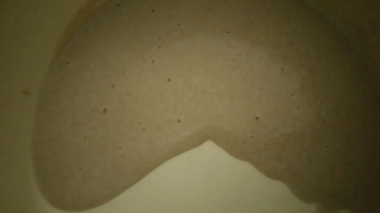 Roggensauerteig in Tupperware.jpg