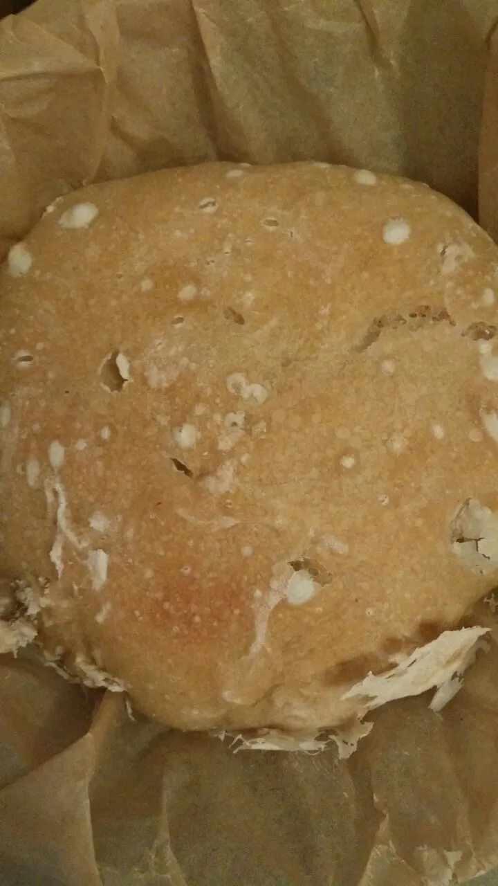 Trocken und FrischHefebrot 6.jpg