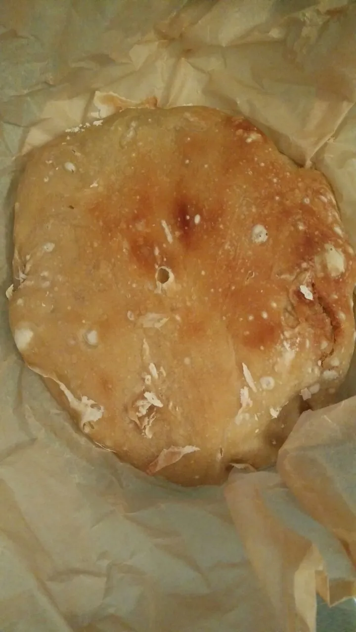 Trocken und FrischHefebrot 7.jpg