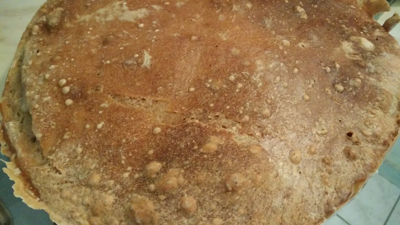 Weizensauerteig fertig 3.jpg