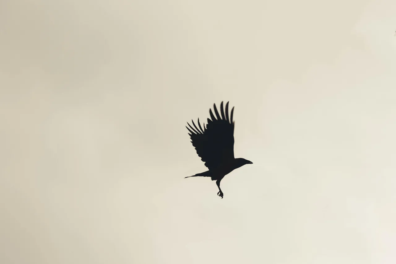 pexels-alen-bešlija-10771127.jpg