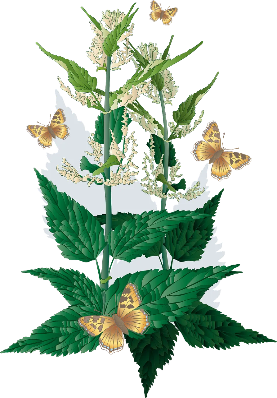 nettle-nettles-g4add3ab8b_1280.png