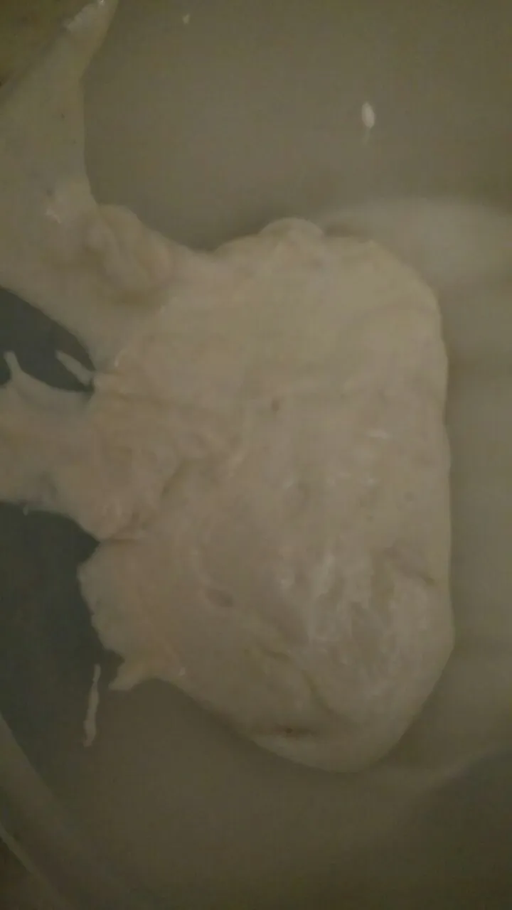 Weizensauerteig in Tupperware.jpg