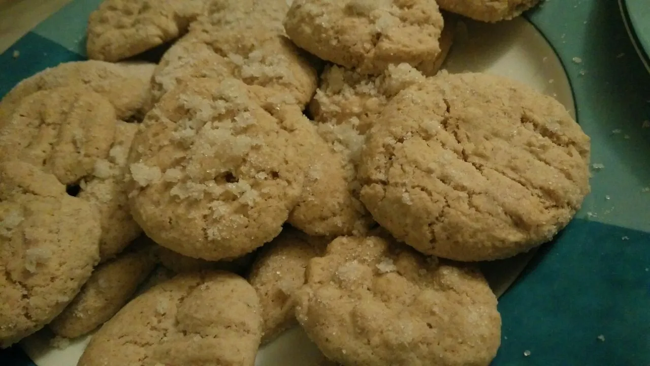 Eiweißplätzchen.jpg