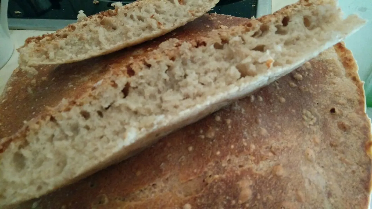 Weizensauerteig fertig 2.jpg