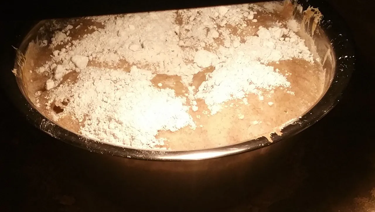 Sauerteig im Backofen.jpg