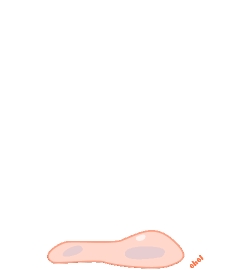 Flow 1@3x-60fps.gif