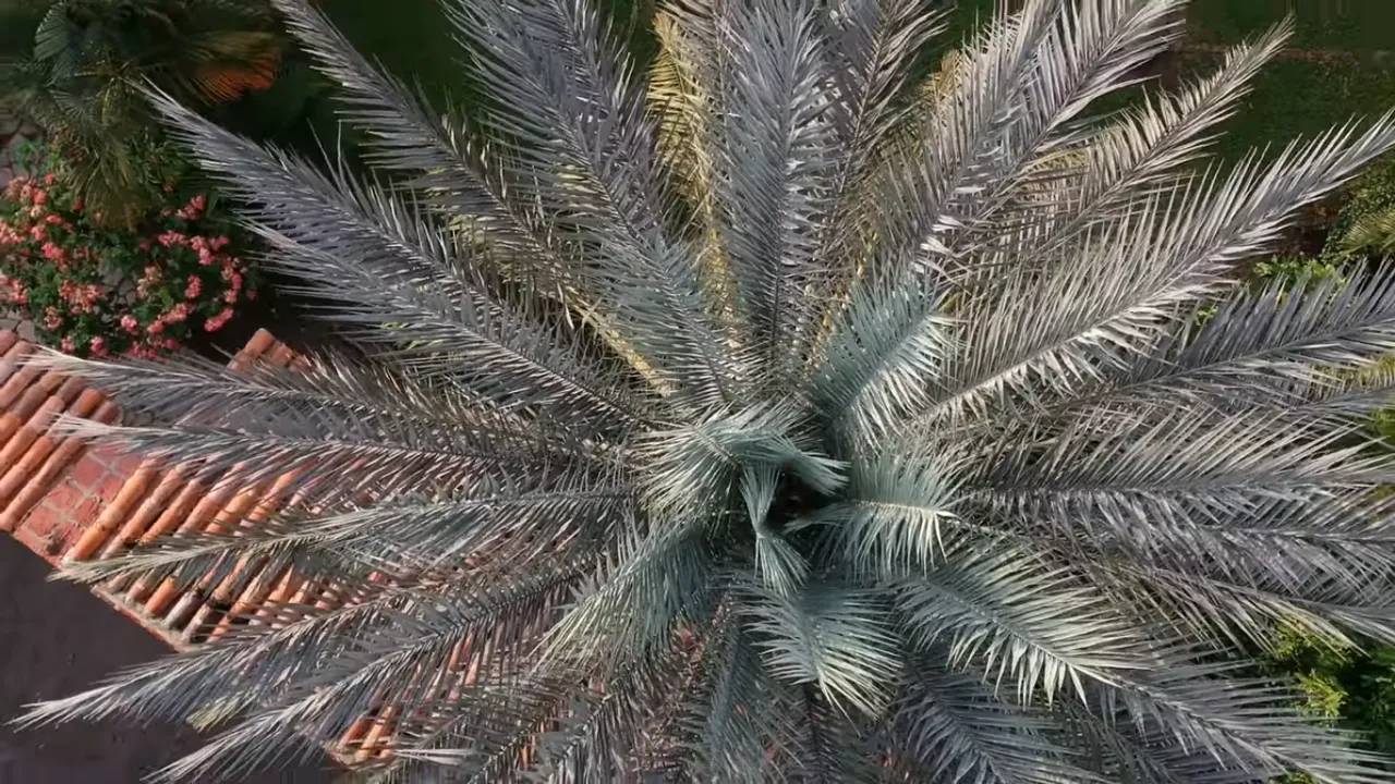 8766678777877878.png