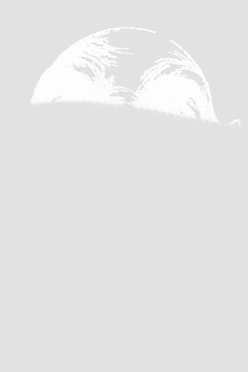 blank (1).jpg