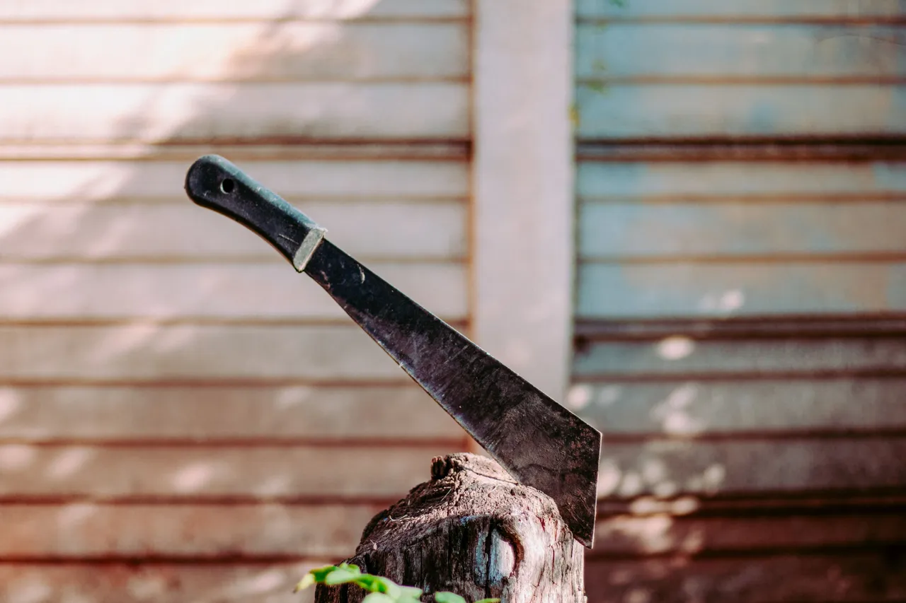 pexels-bruchin-noeka-6011489.jpg