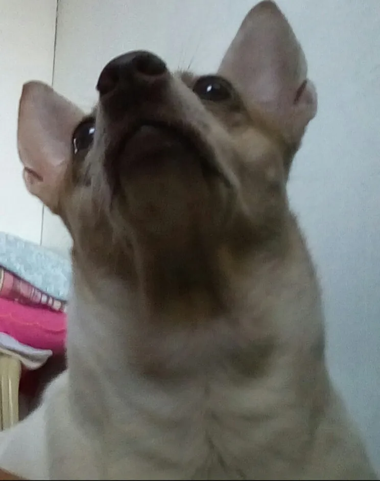 20210926_155530.jpg