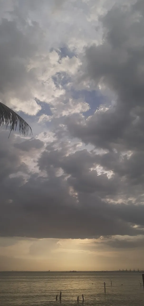 20250726_183010.jpg