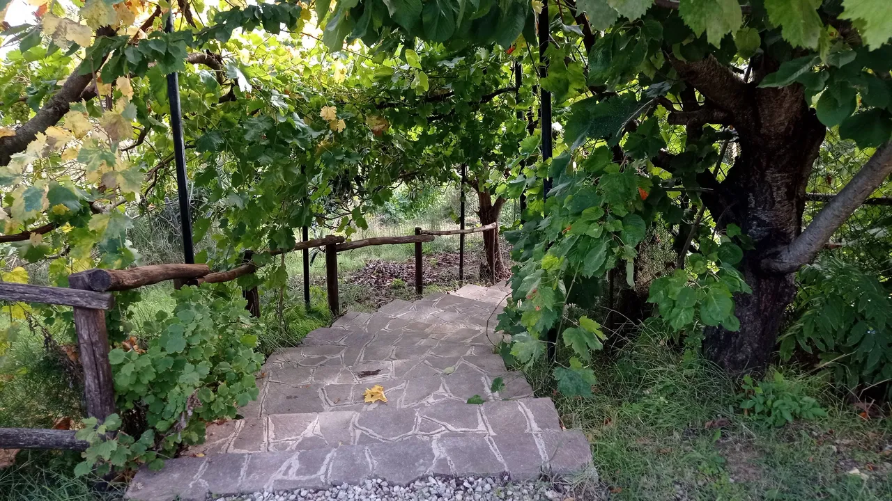 IMG_20220910_163549.jpg