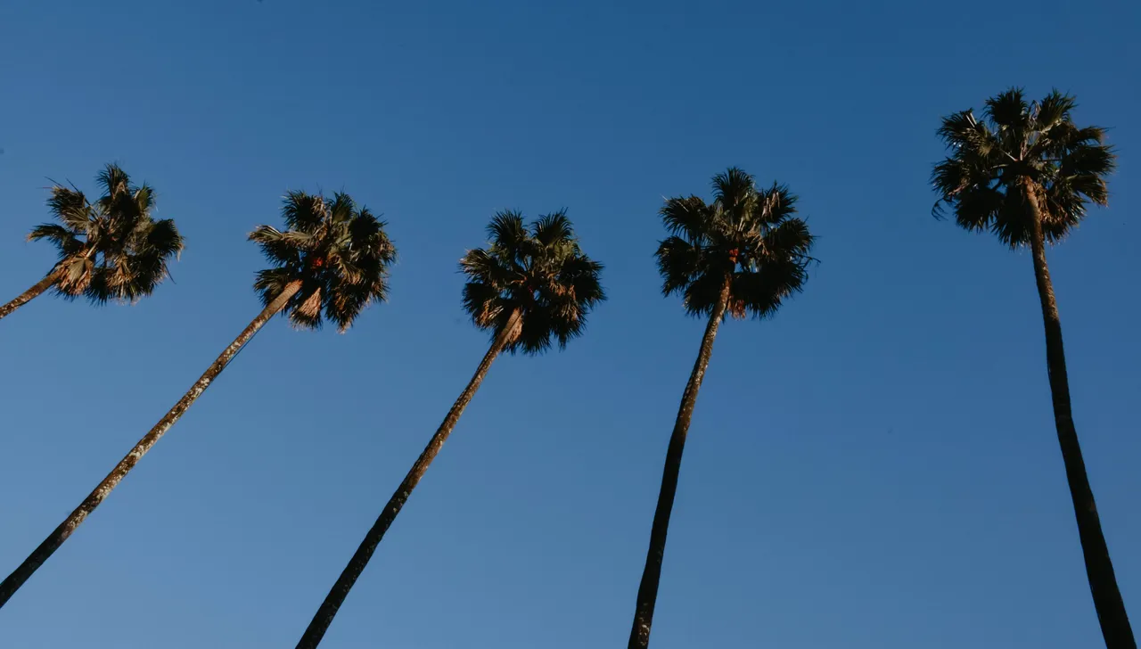 DSC_0077.jpg
