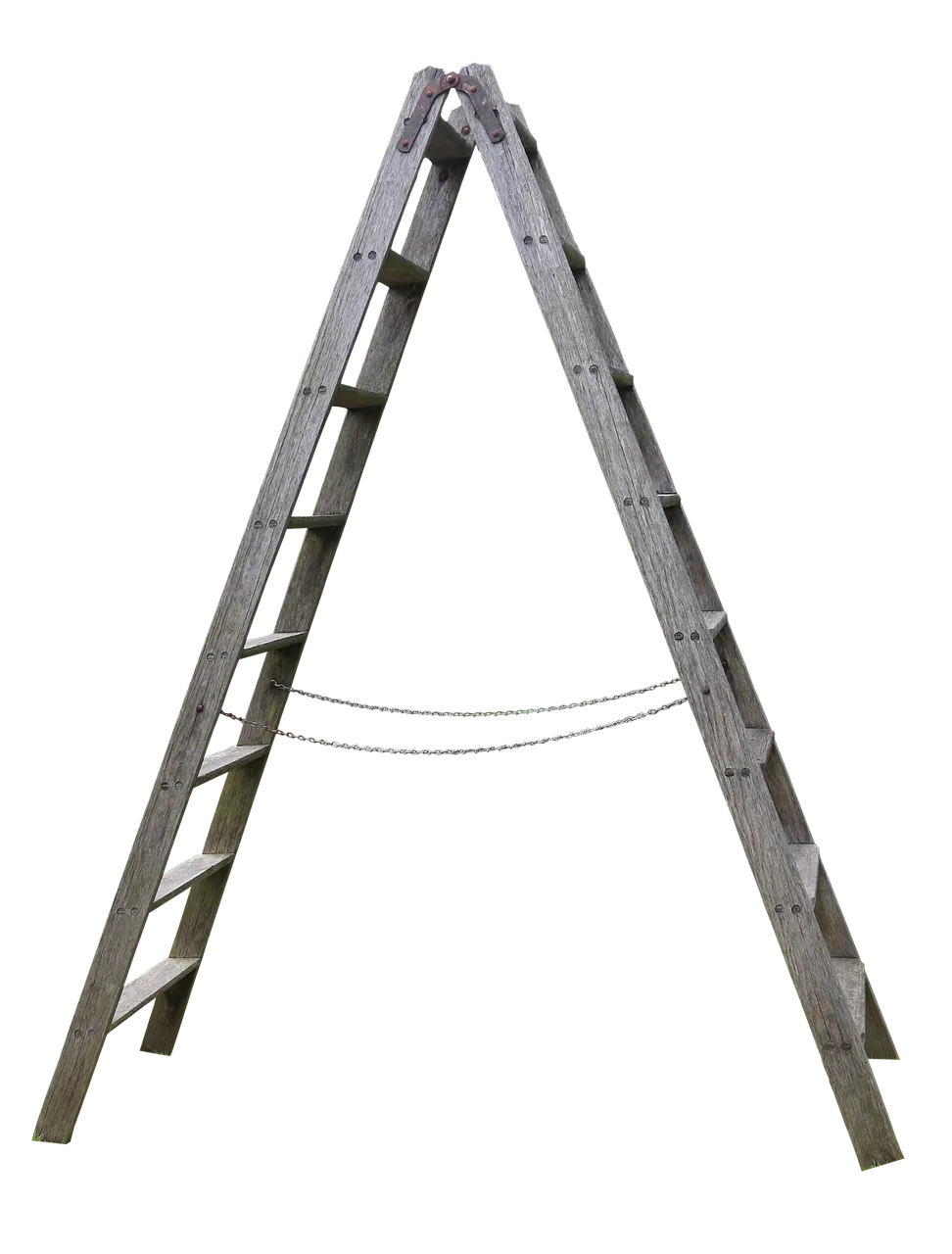 wood-3076978_1280.png