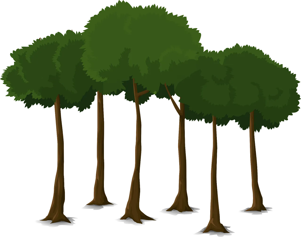 tree-576835_1280.png