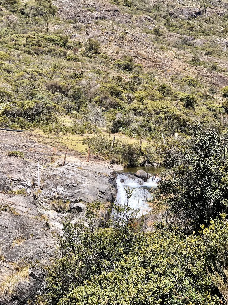 Gavidia12_Apr25.jpg