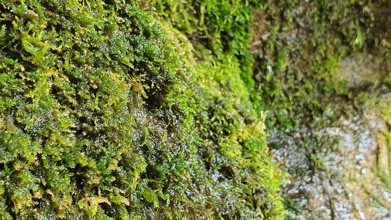 20230618_124704.jpg