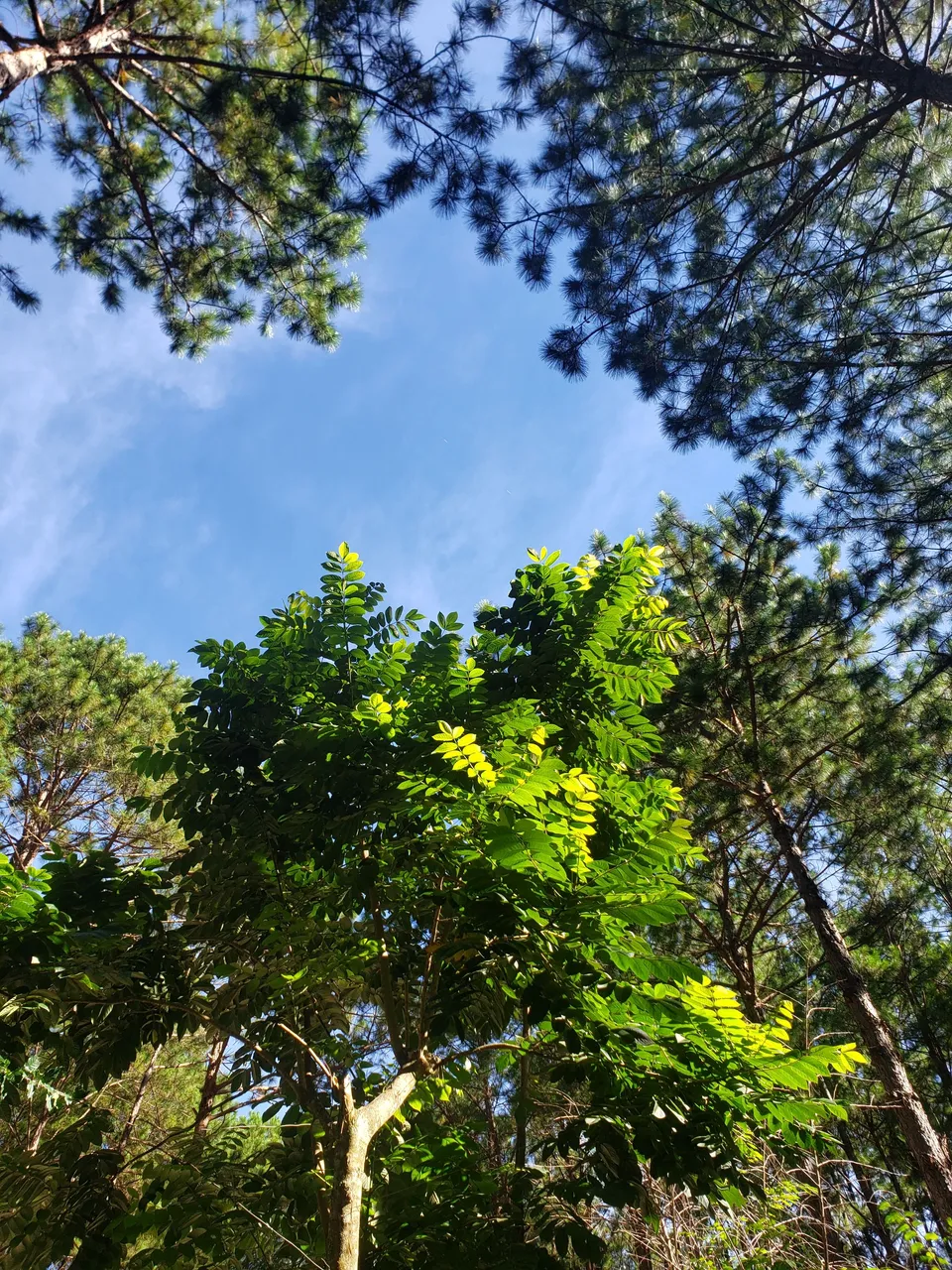 20221015_080146.jpg