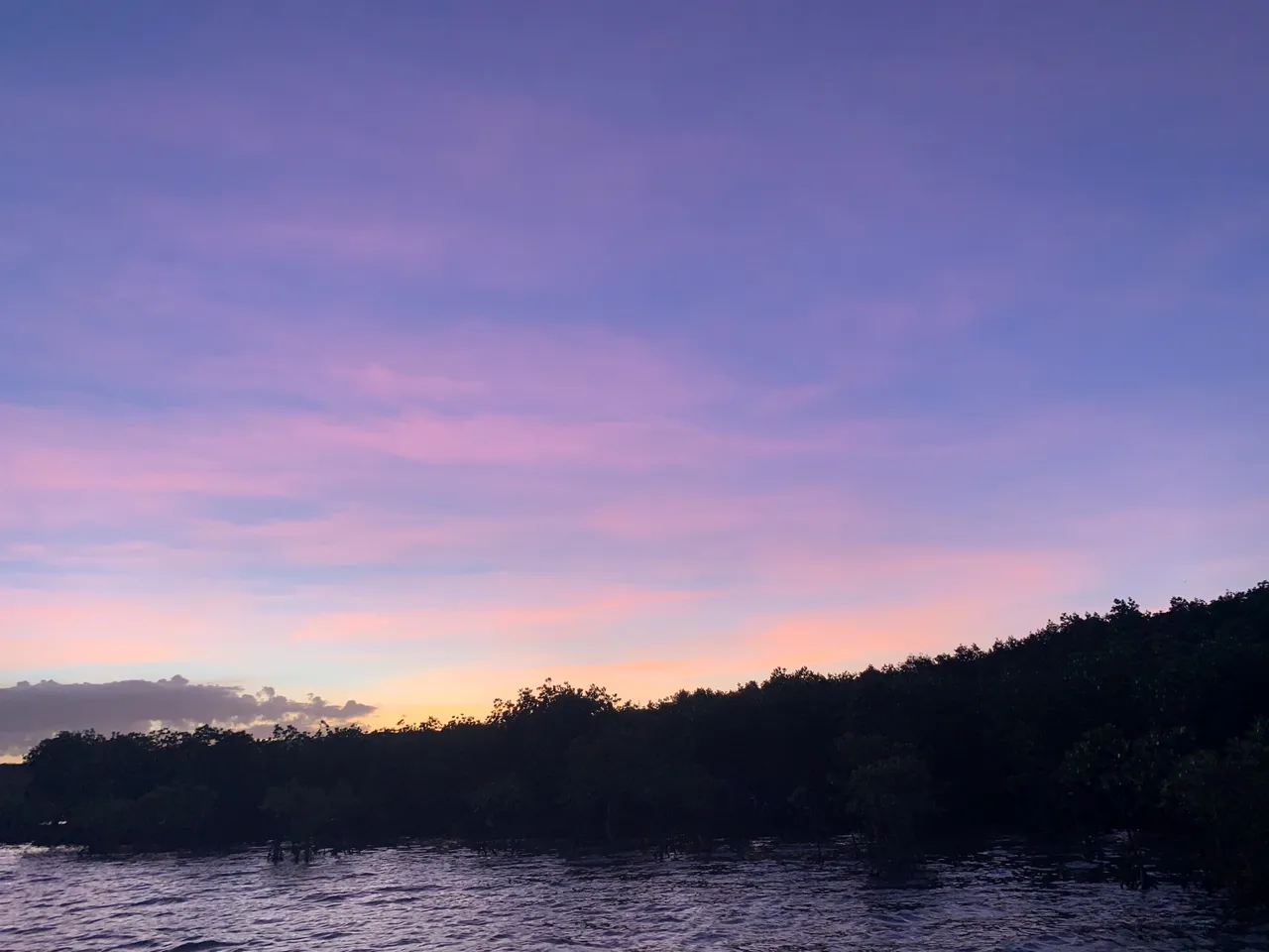 IMG_6280.jpeg