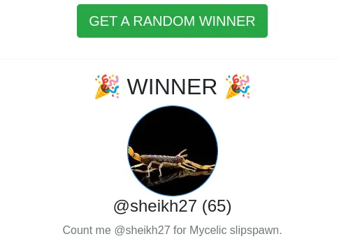 winner.png