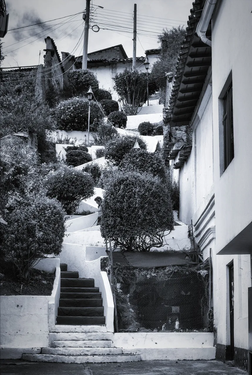 Street_63.jpg