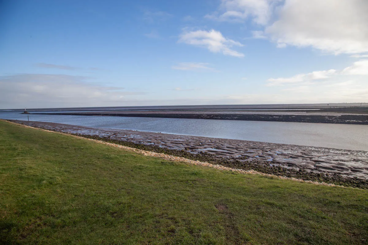 27 - RSPB Freiston Shore Jan 2023-34.jpg
