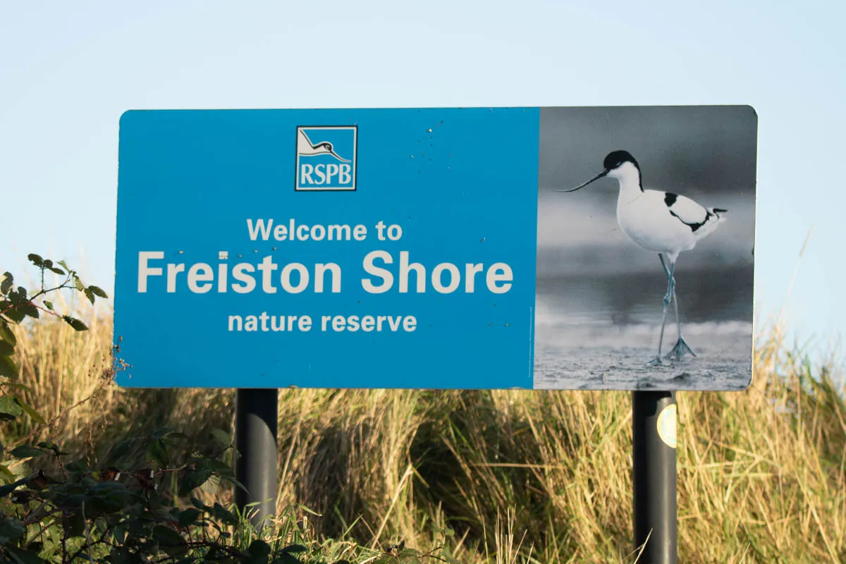 1 - RSPB Freiston Shore Jan 2023-52.jpg