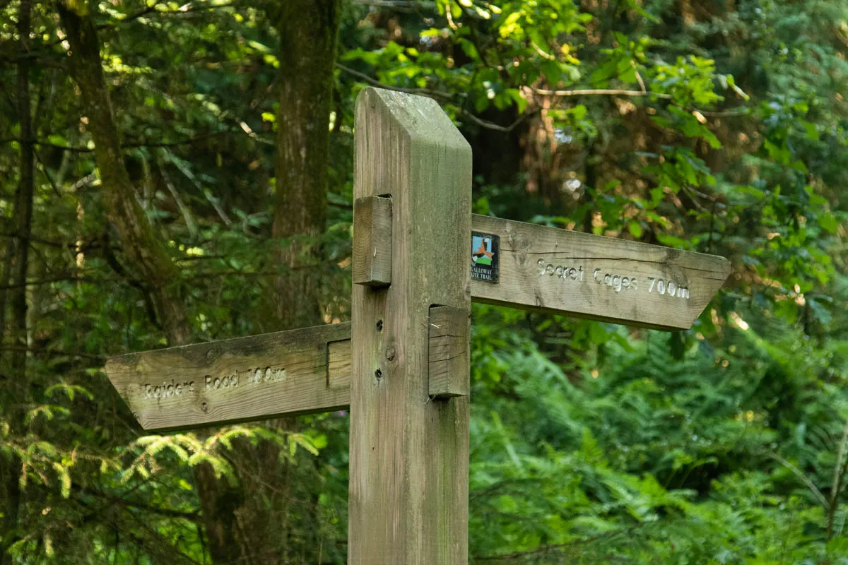 Day 4 A busy day in Galloway Forest-60.jpg