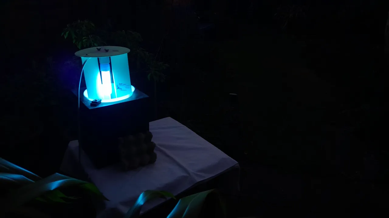 20250330_200025.jpg