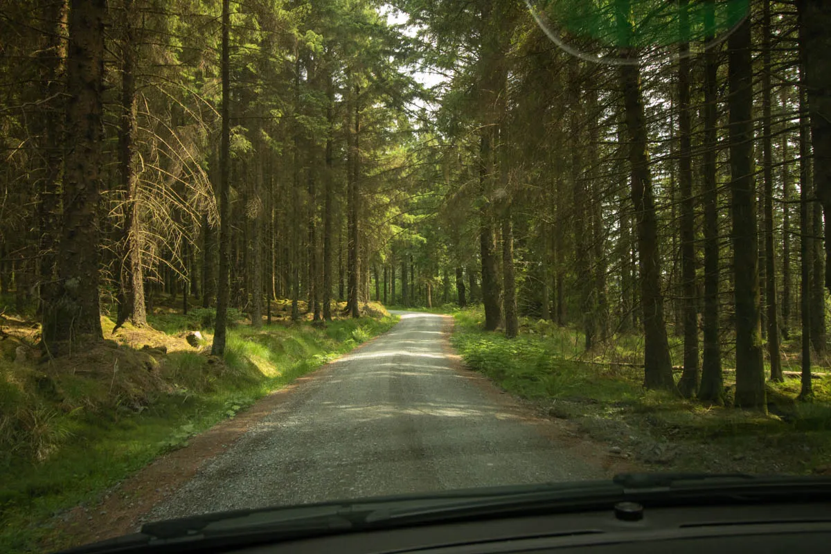 Day 4 A busy day in Galloway Forest-50.jpg