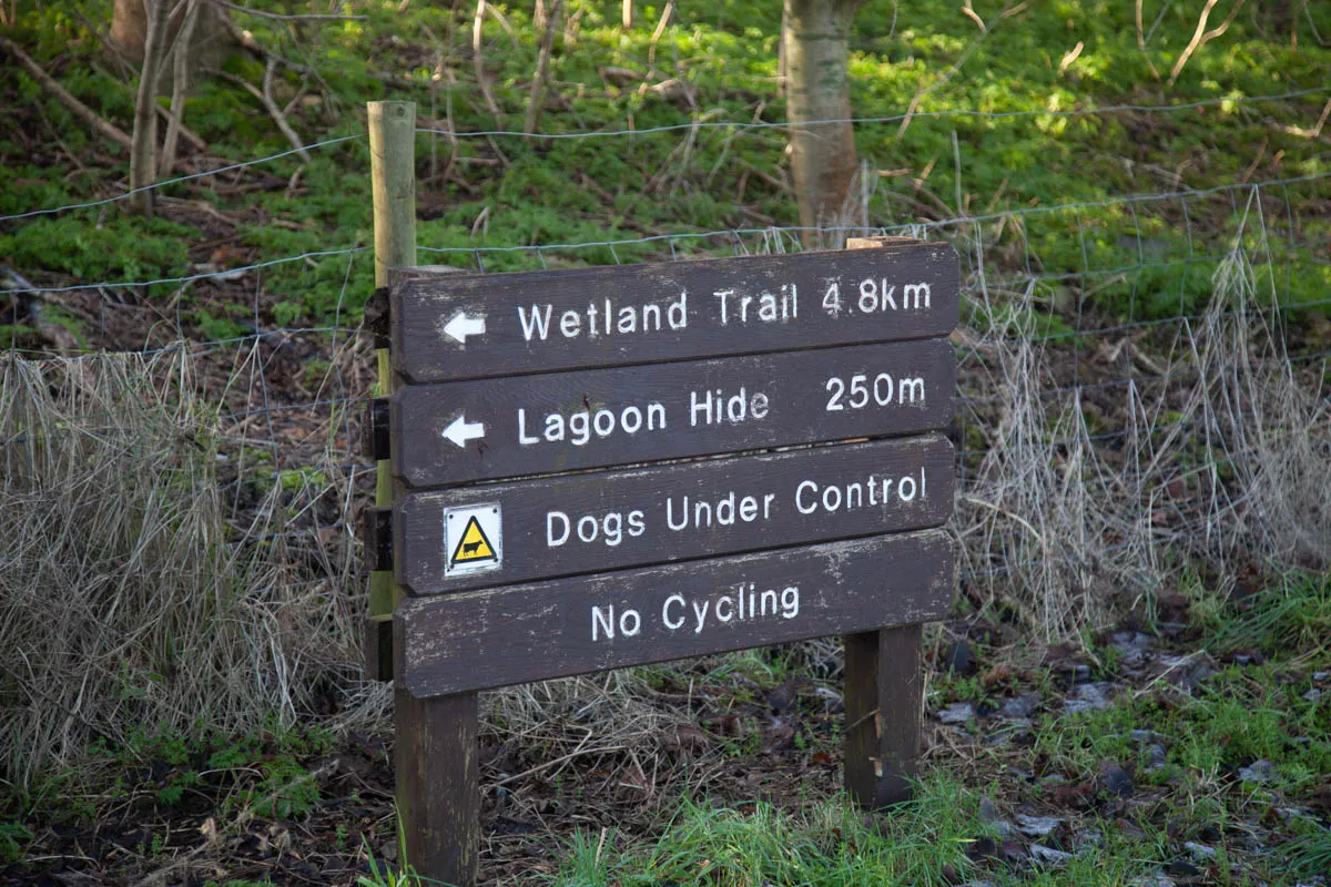 3 - RSPB Freiston Shore Jan 2023-3.jpg