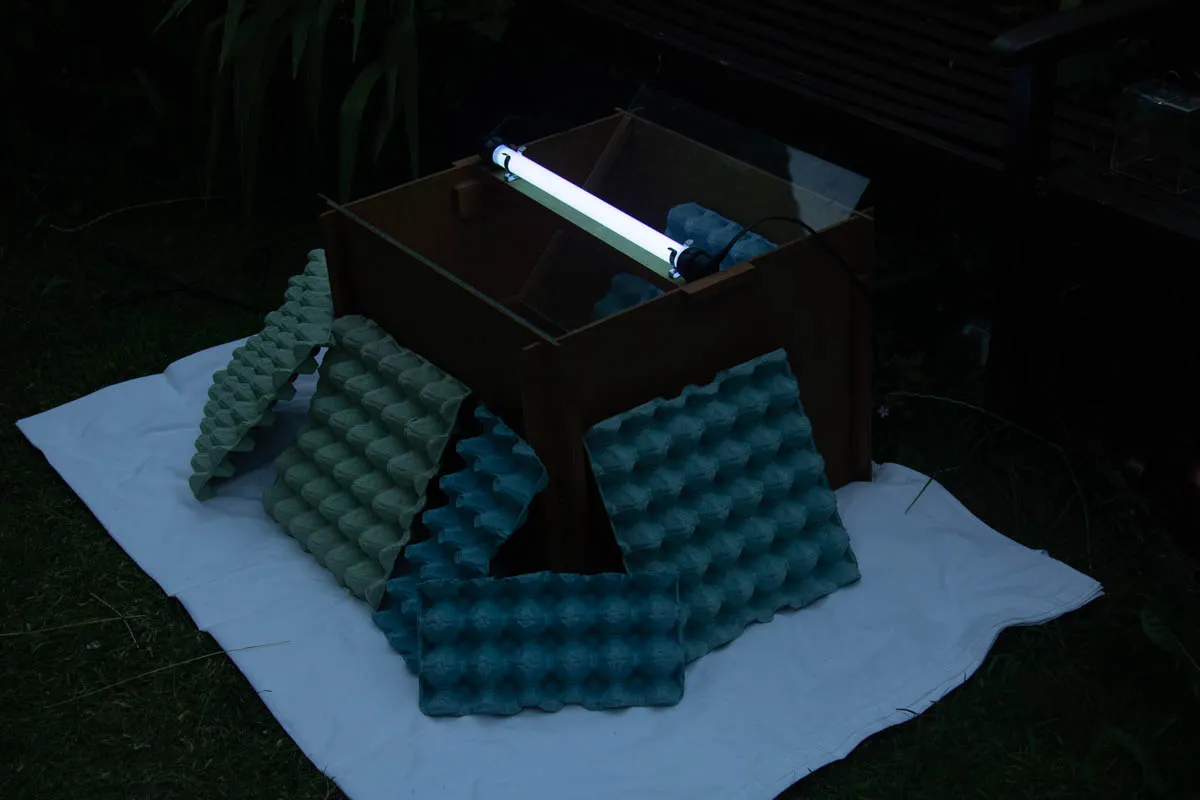 new moth trap-1123.jpg
