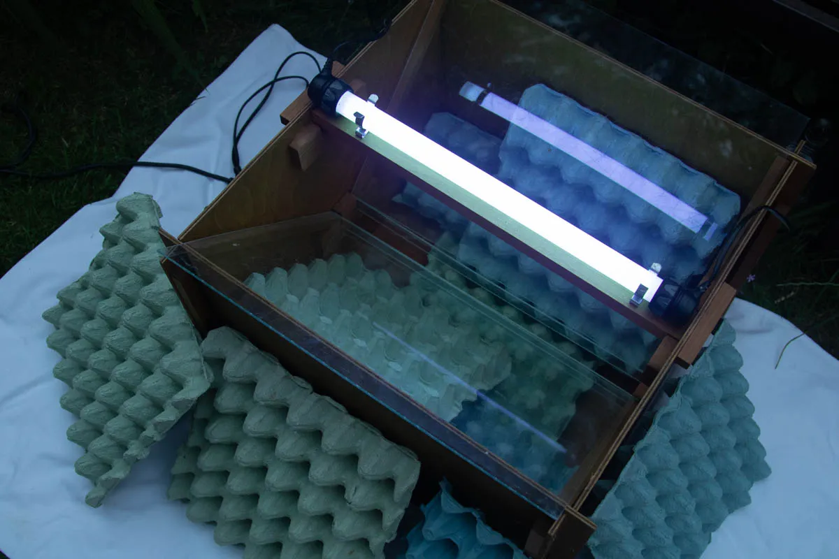new moth trap-1126.jpg