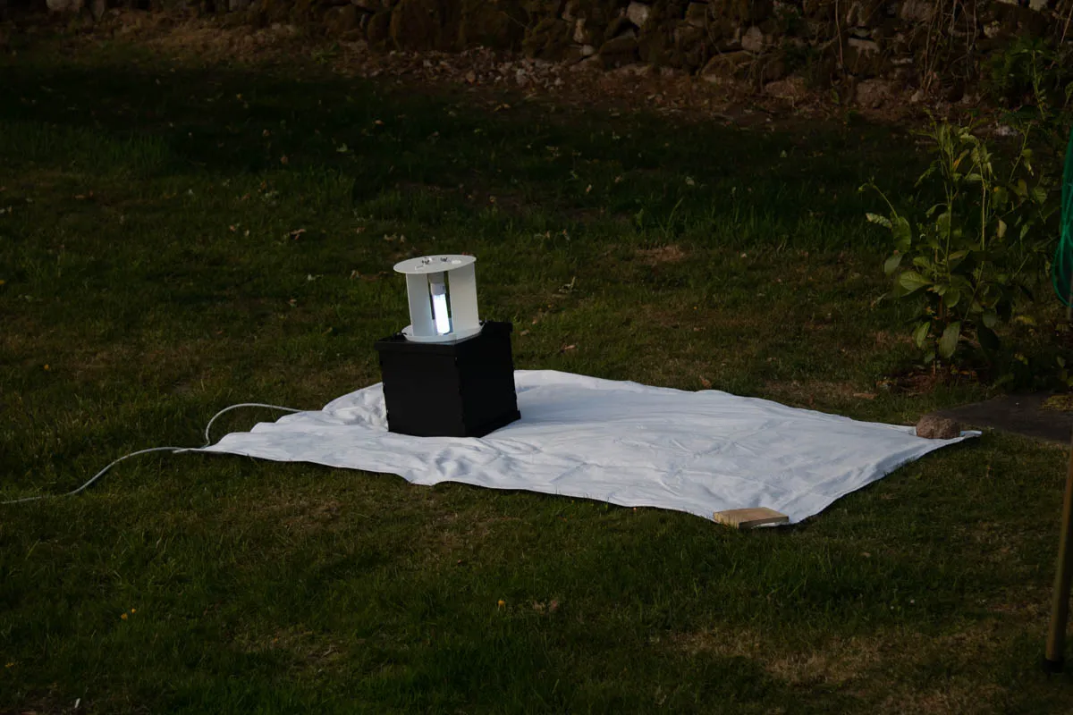 Day 1 moth trap-1.jpg