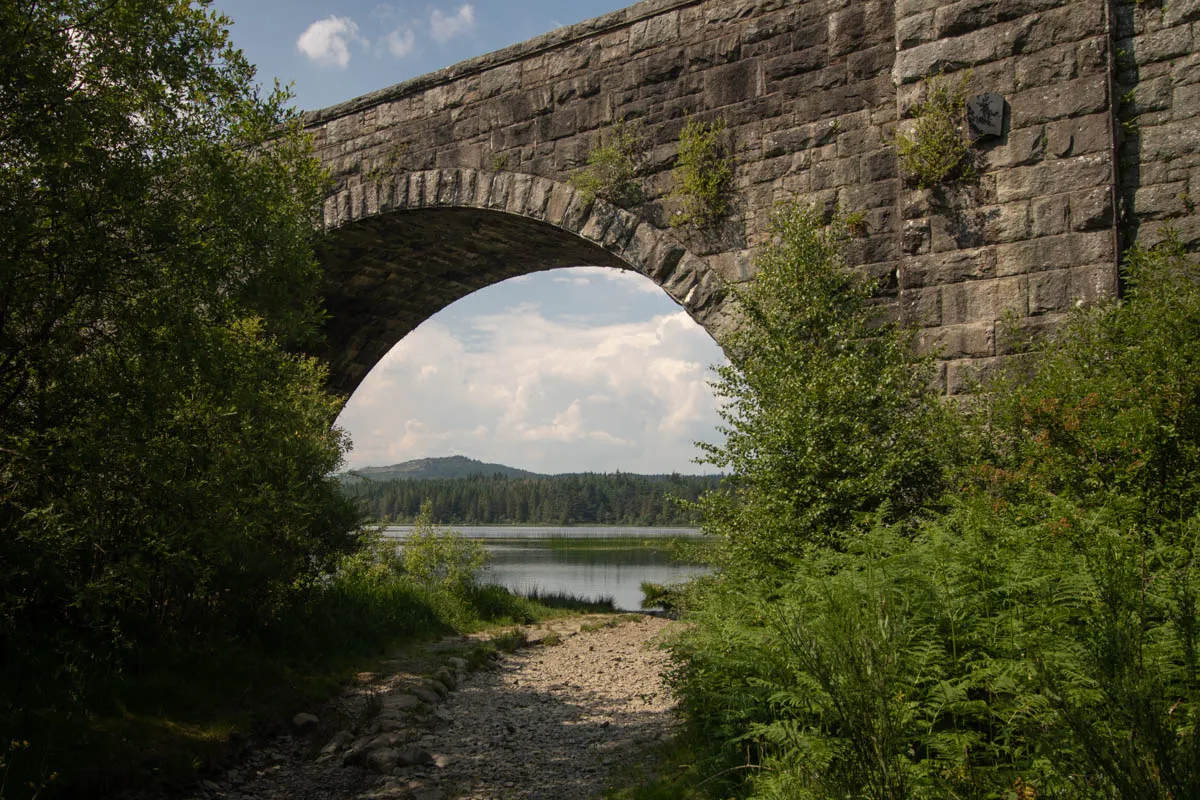 Day 4 A busy day in Galloway Forest-56.jpg