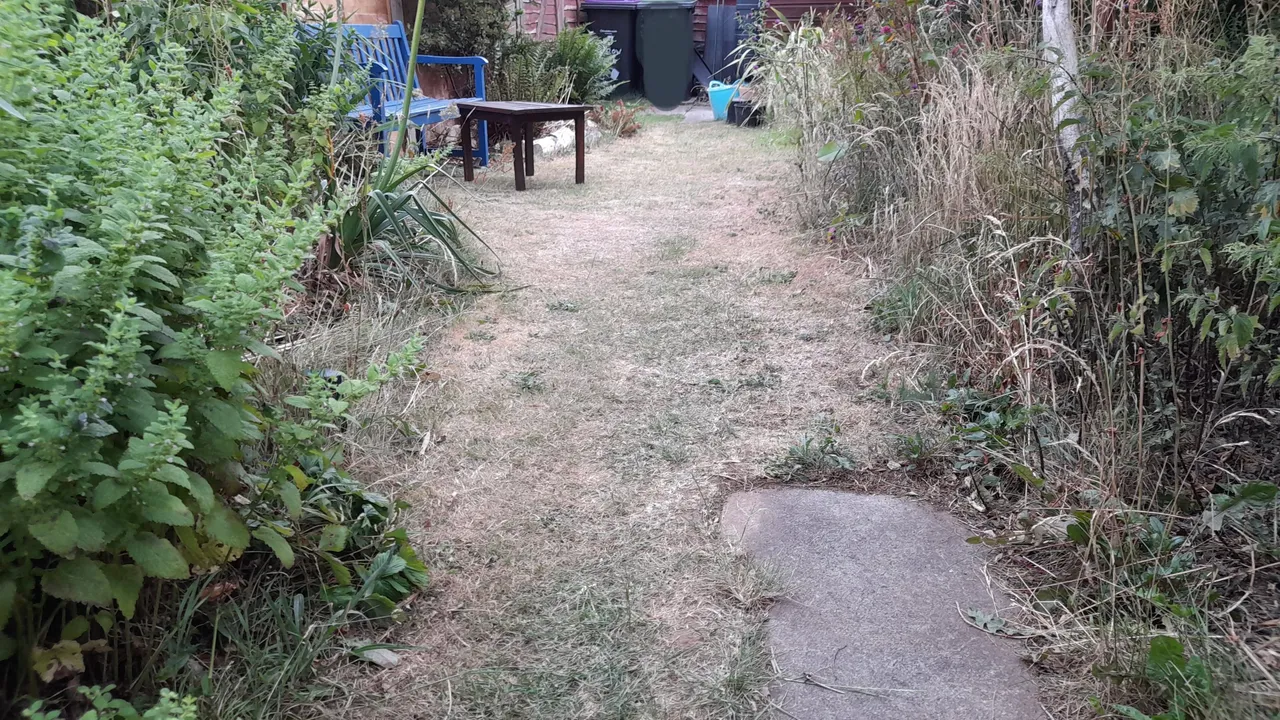 20250629_203159.jpg