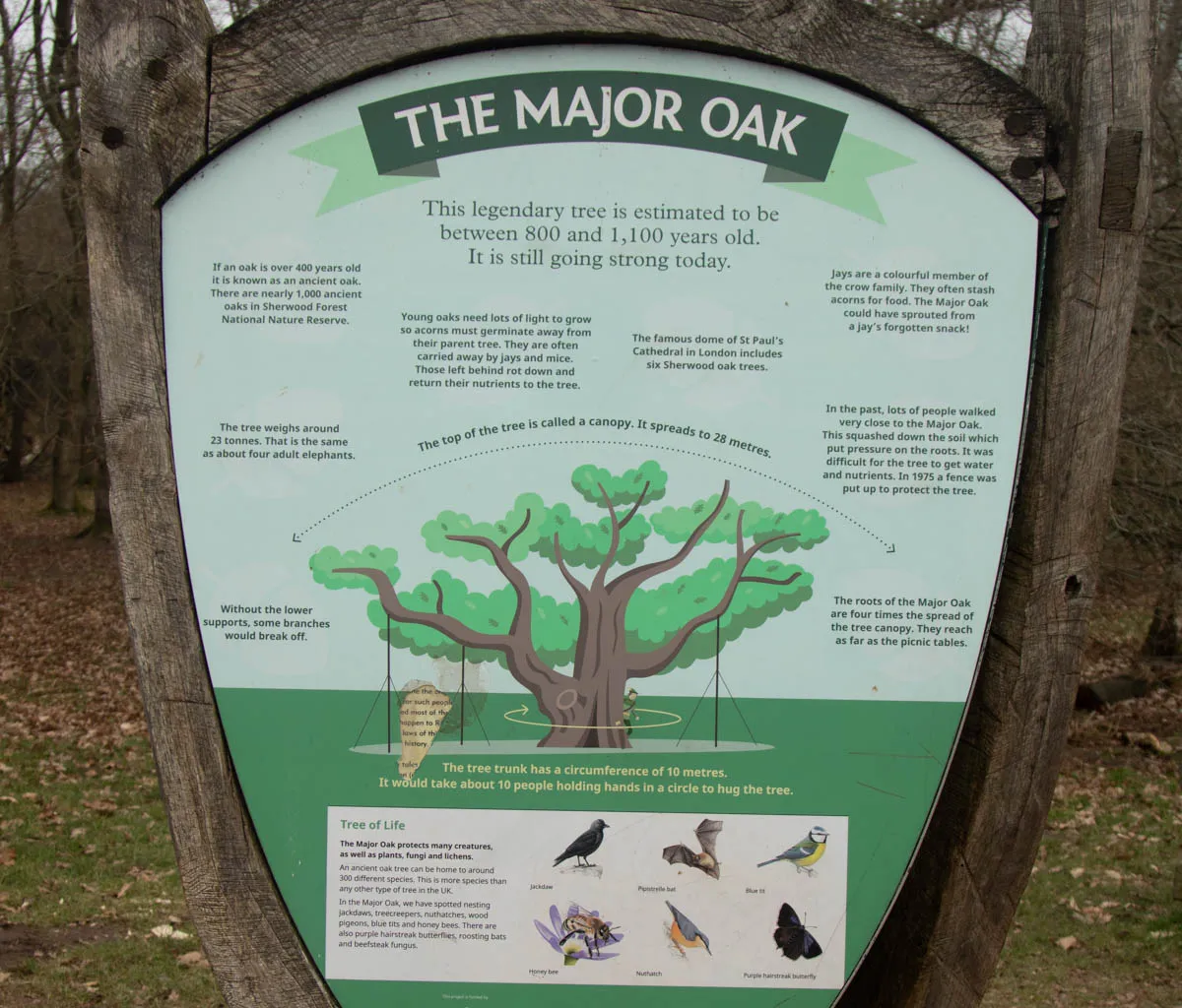 RSPBSherwood Feb 2023-15.jpg