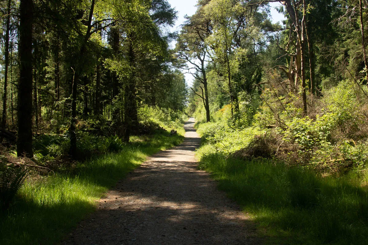 Day 6 kirroughtree-30.jpg