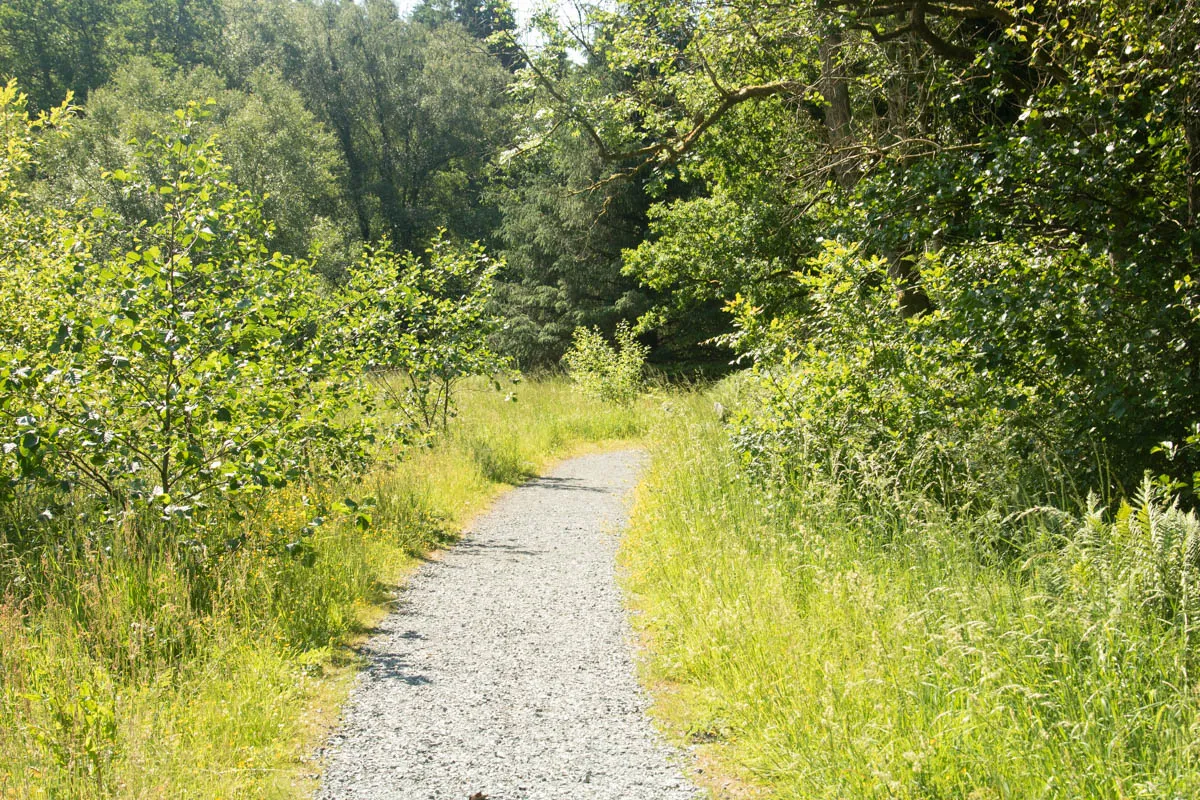 Day 6 kirroughtree-5.jpg