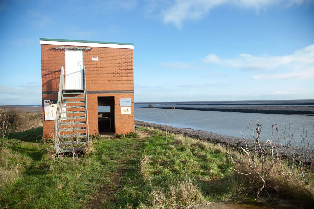 23 - RSPB Freiston Shore Jan 2023-31.jpg