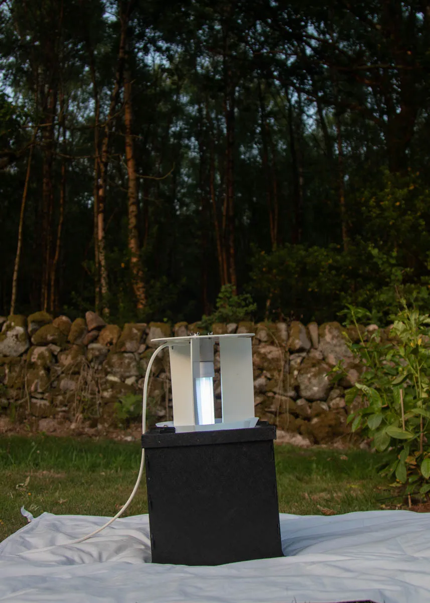 Day 1 moth trap-2.jpg