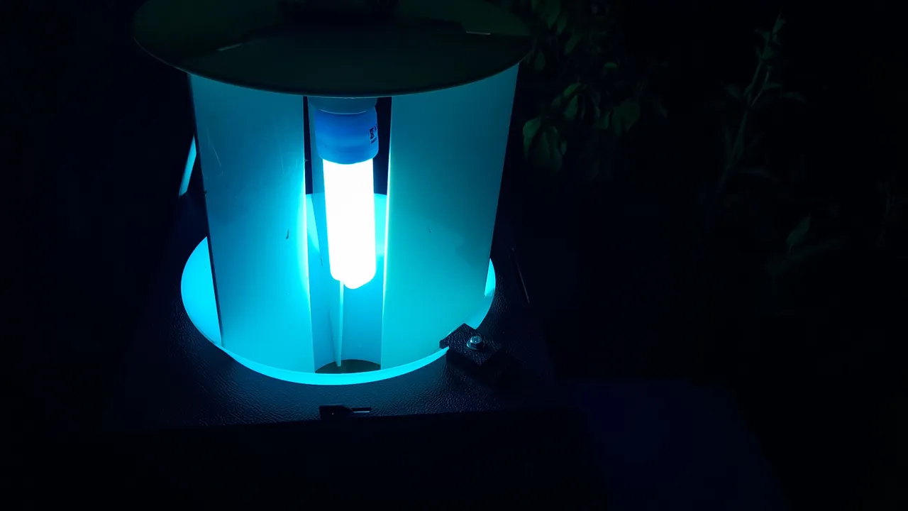 20250502_211756.jpg