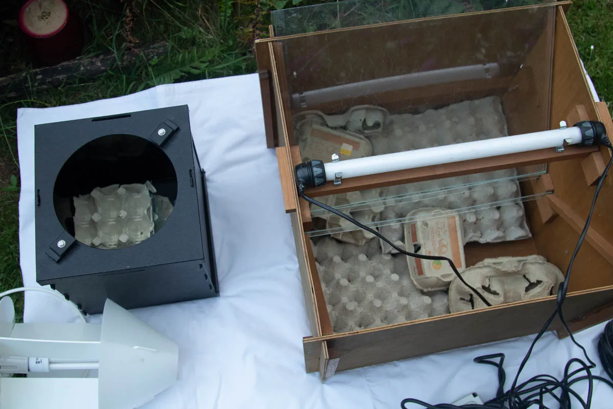 new moth trap-1103.jpg