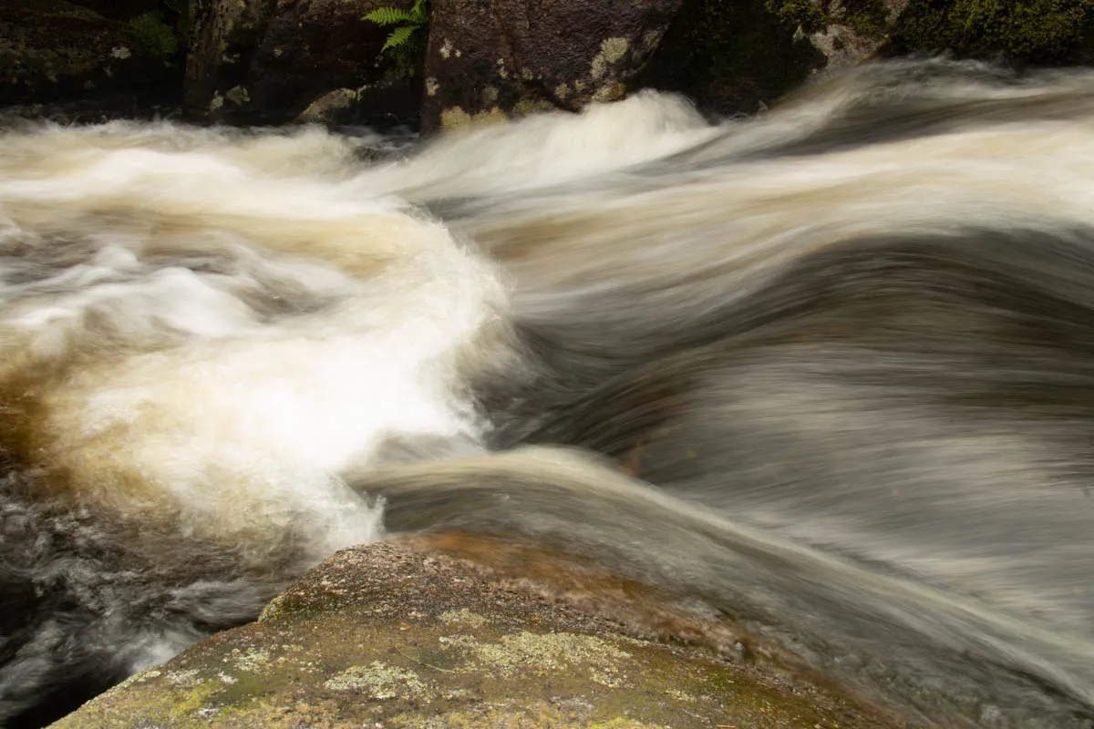 Day 4 A busy day in Galloway Forest-40.jpg